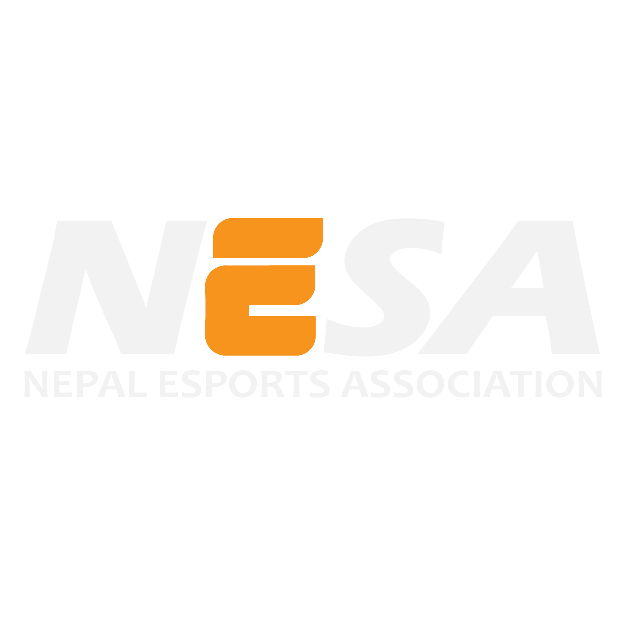 Nesa Logo